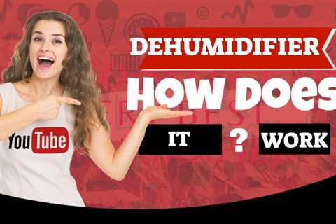 Why Would You Need A Dehumidifier What Is A Dehumidifier And How Does It Work Top Video