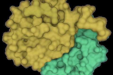 Viruses Target Super-Short Protein Motifs to Disrupt Host Biology
