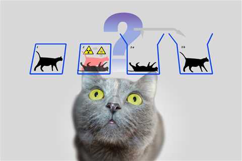 Schrödinger’s Cat and the Secret of Life