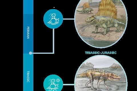 Are We in the Midst of a Sixth Mass Extinction?