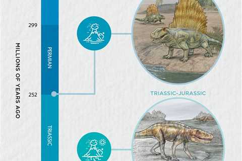 Infographic: A Look at the Big Five Mass Extinctions
