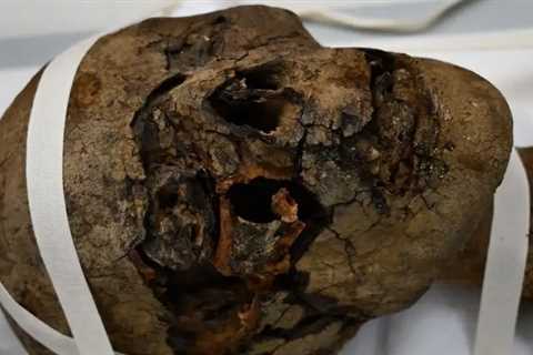 Scientists Find Clues About Decapitated Egyptian Mummy Head Found in Attic
