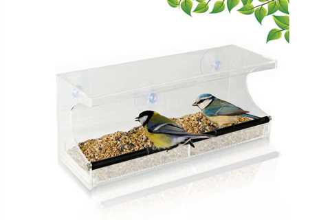 Window Chicken Feeder – See-By means of Acrylic – Clear, Detachable Slide Out Tray for $19