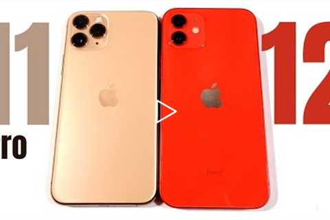 iPhone 11 Pro vs iPhone 12 - Don't Make A Mistake
