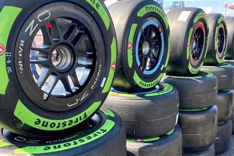 A Plant You've Never Heard of Might Change Racing Tires Forever