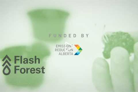 Flash Forest - Commercial Pilots and Demonstrations of Rapid Drone Reforestation Technology