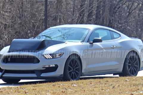 Mutant Mustang Mule's Hideous Hood Hides a Monstrous Secret