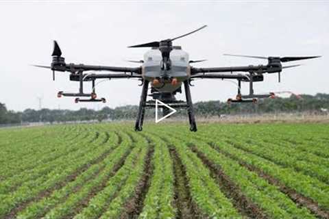 Drone Seeding | Sorghum Seeding Using GPS-Guided DJI Drone!
