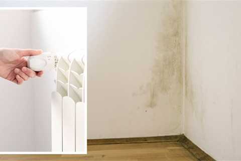 Boiler expert shares three ways to reduce damp this winter – ‘causes damage to your home’