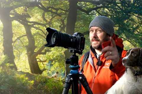 Forest Photography with Nigel and Pebbles