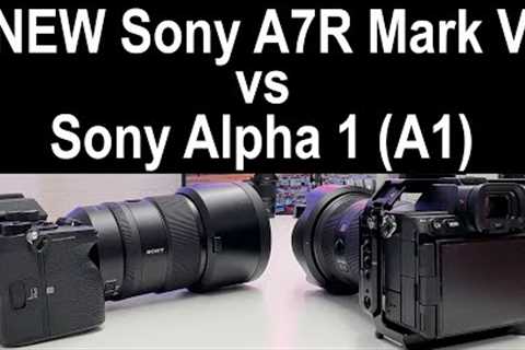 NEW Sony a7R V vs Sony A1 | Full Comparison