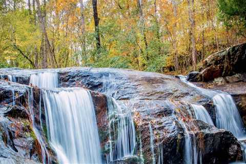 Exploring the Abundant Natural Resources of Central Georgia