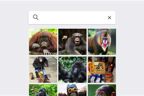 Google’s Photo App Still Can’t Find Gorillas. And Neither Can Apple’s.
