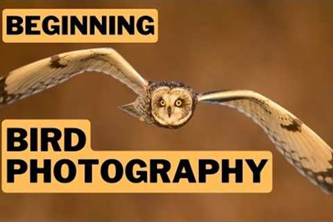 Beginning Bird Photography: Finding birds, camera settings, AF, camera and lens