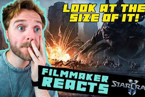 FILMMAKER REACTS TO STARCRAFT 2 | HEART OF THE SWARM AND LEGACY OF THE VOID CINEMATIC TRAILERS!