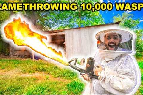 FLAMETHROWING 10,000 Angry HORNETS in My BACKYARD!!! (Bad Idea...)