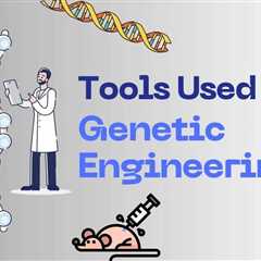 A Career in Genetic Engineering