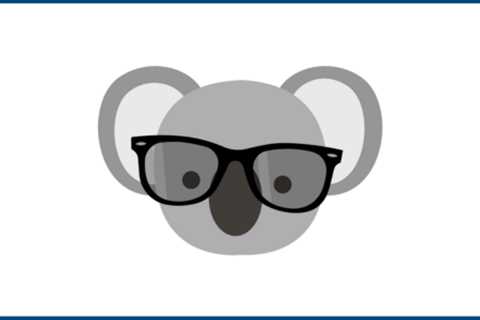 Koala Apps Review