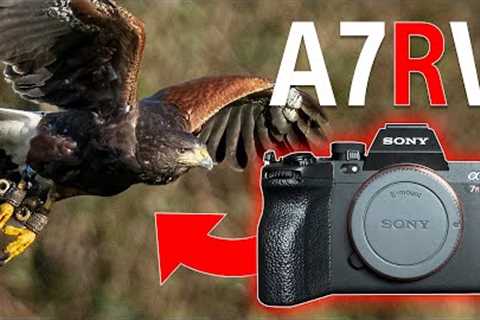 Sony A7RV - I WAS WRONG !!! 😳 + RECOMMENDED SETTINGS for BIRD PHOTOGRAPHY 🦅