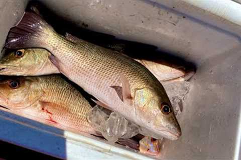 MANGROVE SNAPPER PIER FISHING