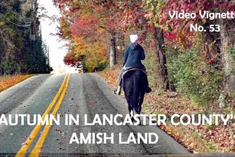 OUT and ABOUT AUTUMN Scenes from AMISH LAND, Lancaster County, Pennsylvania Vignettes No. 53