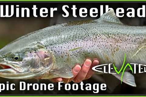 Winter Steelhead Adventure 2023 | Epic Drone Footage | Day 1