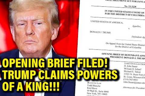 Trump Files PERPLEXINGLY BAD Opening APPEAL Brief