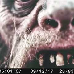 Most Disturbing Camping Encounters Caught on Trail Cam