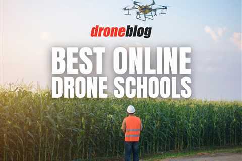 Best Online Drone Schools (Free & Paid)