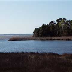 Exploring the Natural Resources of Currituck County, NC