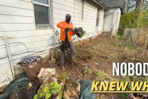 Neighborhood saw the mess - but NO ONE knew the FULL story of why