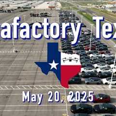 Model Y Production High Cybertruck Production Low  Tesla Gigafactory Texas  5/20/25  9:08AM