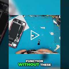 Display Replacement: Transferring Components for Complete Repair [IPHONE 8] | Sydney CBD Repair