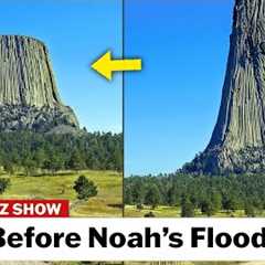 Noah''s Flood Proved❗❗😱 Massive Trees That Angels Sliced...
