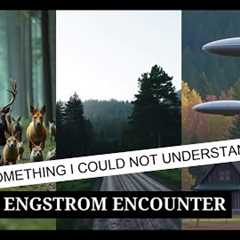 “It Was Something I Didn’t Understand”: The Engstrom Encounter | Paranormal Stories