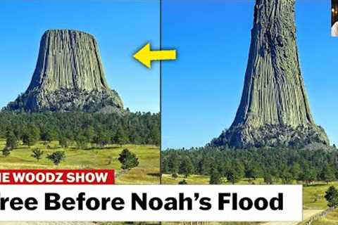 Noah''s Flood Proved❗❗😱 Massive Trees That Angels Sliced...