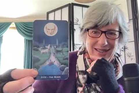 Fed Gov stays, Vance as president? Plans to subvert midterm results & how it ends, &..