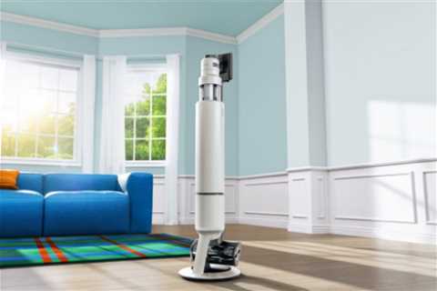 Australians sweep Spring Cleaning under the rug